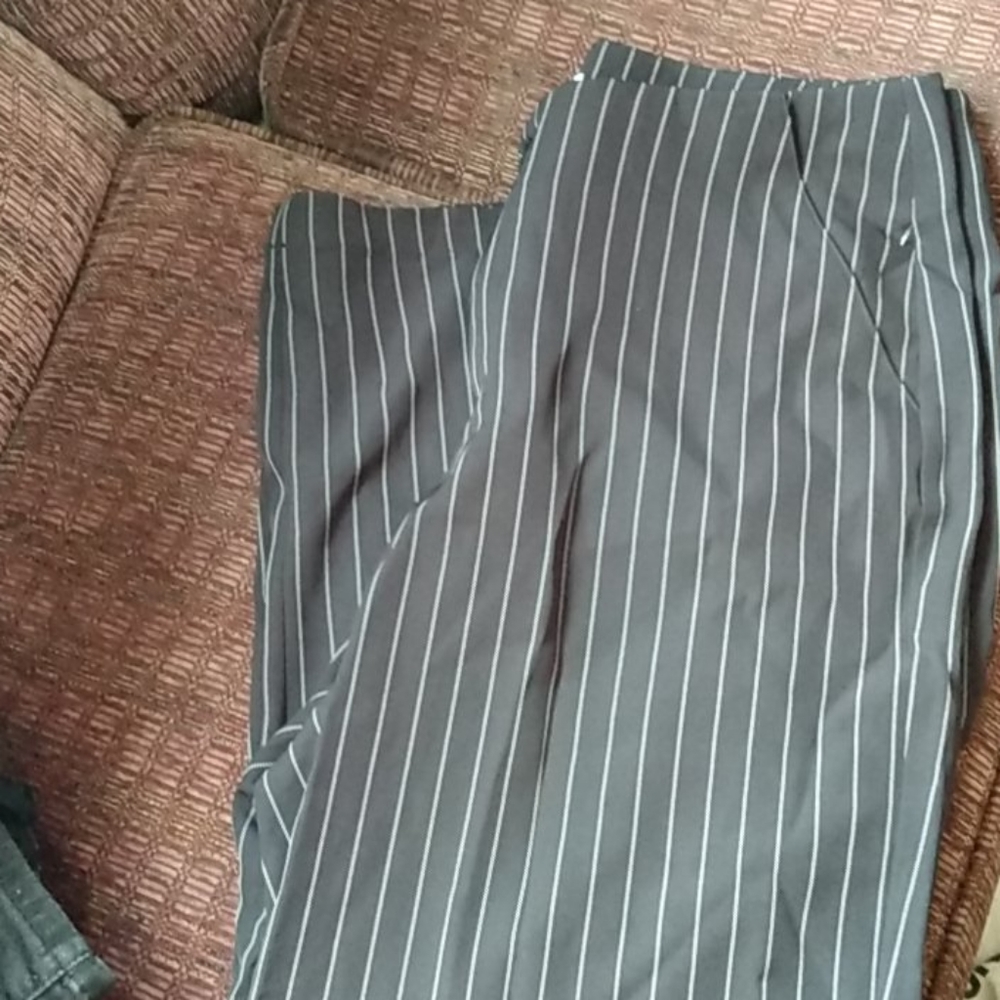 Dress pants